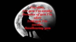 Godsmack Awake  Lyrics [upl. by Kornher]