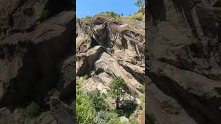 Bhir mauri in Langtang national park  Mad honey bee hives in Nepal  Trekking in Nepal  travel [upl. by Giardap371]