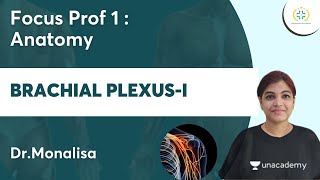 Brachial PlexusI  Focus Prof 1  Anatomy  Unacademy Future Doctors l DrMonalisa [upl. by Lamori750]