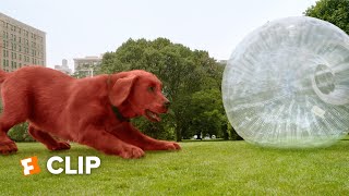 Clifford the Big Red Dog Exclusive Movie Clip  No Fetch 2021  Fandango Family [upl. by Ferdinand]