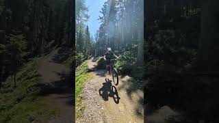 One from Schladming mtb bikepark schladming [upl. by Raddy]