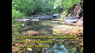 1stPres Gallatin Live Stream March 31 2024 [upl. by Lienahs]