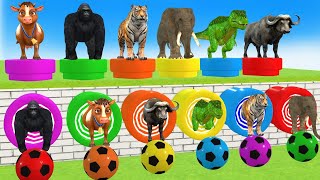 Long Slide Game With Elephant Gorilla Buffalo Hippopotamus Tiger  3d Animal Game  Wild Animals [upl. by Alim38]