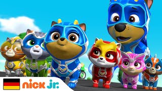 PAW Patrol  Die Superwelpen zur Rettung  Nick Jr Deutschland [upl. by Mclaughlin766]