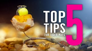 TOP 5 TIGER NUT TIPS For Catching More Carp Including 2 Carp Rigs Mainline Baits Carp Fishing TV [upl. by Louanne]