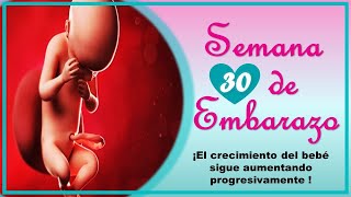 ❤️ SEMANA 30 DE EMBARAZO🤰 ❤️ ⏩ EMBARAZO SEMANA A SEMANA ⏩ Desarrollo y Evolución del Bebé 👶🏻 [upl. by Barram]