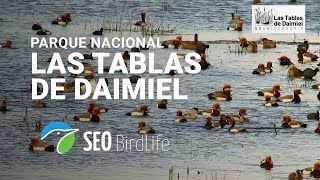 🔴 Parque Nacional de las Tablas de Daimiel Ciudad Real España [upl. by Nylaroc]