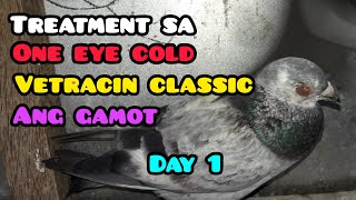 TREATMENT PARA SA ONE EYE COLD  VETRACIN CLASSIC  DAY 1 [upl. by Meir]