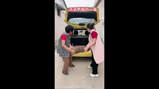 Send jackfruit scene Pingzi acridine funny real story laugh happy moment prank [upl. by Mathias]