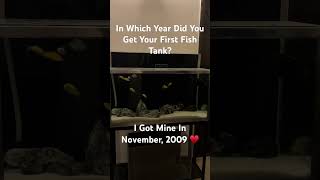 When Did You Get Your First Ever Fish Aquarium [upl. by Fabrin309]