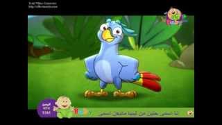 toyor al janah 2014 babagha طيور الجنة الببغاء [upl. by Thirion]