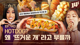 핫도그 VS 콘도그🌭 한국인은 왜 콘도그에 빠졌을까🥄ㅣ돈슐랭  14F [upl. by Midge]