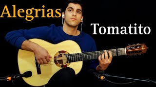 ALEGRÍAS Tomatito  Ehsan Soleimani cover [upl. by Htebsil]