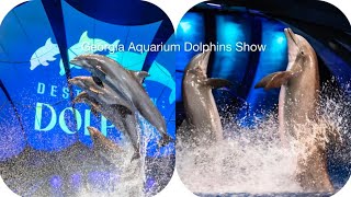 Dolphin Show at Georgia Aquarium 2024 [upl. by Gothar750]