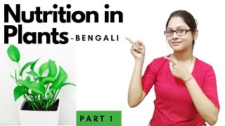 NCERT Class 7 Science Chapter 1 in Bengali  NUTRITION IN PLANTS [upl. by Kitti]