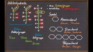 10 Kohlenhydrate [upl. by Samella]