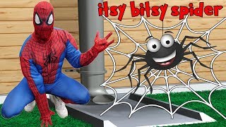 Itsy Bitsy Spider Kids Songs Sing Along Nursery Rhyme Songs with Spiderman [upl. by Leval]