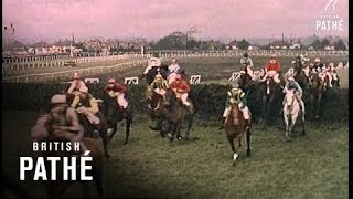 Grand National Long Version 1962 [upl. by Lorne]