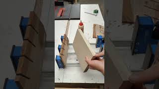 Easy DIY blade storage woodworking [upl. by Enylecoj]