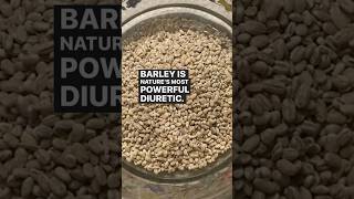 Benefits of Barley Grain  Diuretic  Cholesterol  Diabetes IBS  Nutrition Update Dr Zubeda Tumbi [upl. by Gershom]