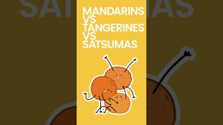 Mandarins vs Tangerines vs Satsumas shorts [upl. by Barmen518]