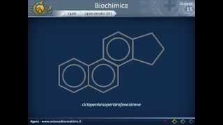 Biochimica strutturale  Lipidi [upl. by Krystin]