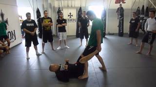 Carlos Condit  MMA Seminar [upl. by Nesila]