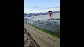 Early Morning ItsukushimaMiyajima Island and Mount Misen Observatory [upl. by Benedick]