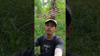 bertaruh viralvideo namunakuakantetapdisini cover monetisasi shortvideo videoshort [upl. by Arykat]