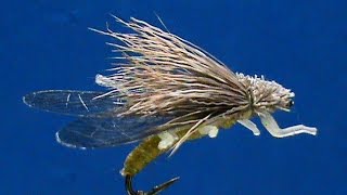 Beginner Fly Tying a Hemingway Golden Stonefly with Jim Misiura [upl. by Arikihs63]