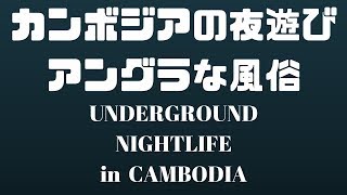 【プノンペンの夜遊び】LocalKaraokeStPhnom Penh [upl. by Aihsekin539]