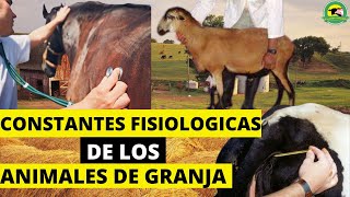 CONSTANTES FISIOLOGICAS De Los ANIMALES DE GRANJA🔴TemperaturaFrecuencia Cardiaca Y Respiratoria [upl. by Nancy]