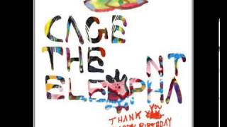 Cage The Elephant  Shake Me Down Lyricsletras [upl. by Ariella]