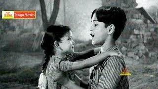 Andala Pasi Papa All Time Super Hit Song  Chitti Chellelu Telugu Movie HD [upl. by Ynohtnacram]