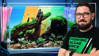 ELEVATE Your Aquarium Setup with COLORED BACKGROUNDS [upl. by Acirtal]