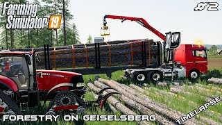 Selling 15m logs  Forestry on Geiselsberg  Farming Simulator 19  Episode 2 [upl. by Gorrian]