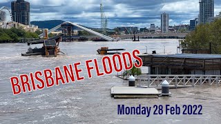 Brisbane Floods 2022  River City Kangaroo Pt Botanic Gardens Mowbray Pk New Farm Monday 28Feb [upl. by Ennairrek364]