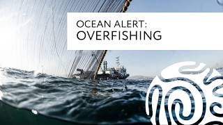 Ocean Alert Overfishing [upl. by Gaudette]