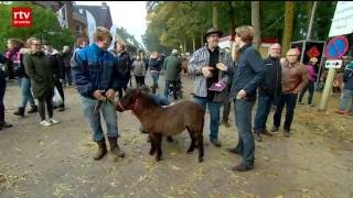 Paardenmarkt Zuidlaren drukker bezocht [upl. by Hetti]