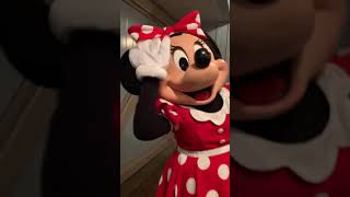 Meeting Minnie Mouse Disneyland California 2020 [upl. by Alleb]