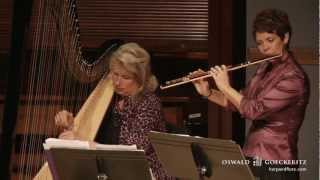 Crossing The Sweetwater  Classical Music  Best Original Flute amp Harp Composition  Live Concert [upl. by Eidde]