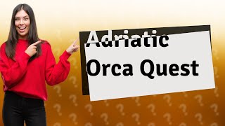 Are there orcas in the Adriatic Sea [upl. by Yerocaj]