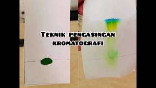 SAINS TINGKATAN 1  BAB 6 Teknik Pengasingan Kromatografi [upl. by Oivat]