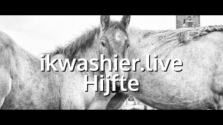 Belgische Trekpaarden en BWP renpaarden op jaarmarkt en veemarkt  ikwashierlive in Hijfte [upl. by Swayder]