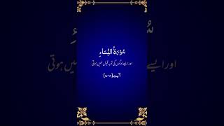 Surah AnNisa verses 1718  Recitation of Quran  Talawat  Quran [upl. by Joya898]