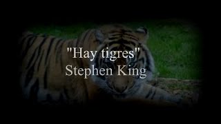 Hay tigres  Stephen King Audio  Cuentos para no dormir [upl. by Hevak515]