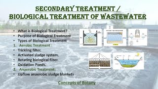 Biological Treatment of Wastewater Secoundary treatment of sewage water Hindi Urdu [upl. by Ainet615]