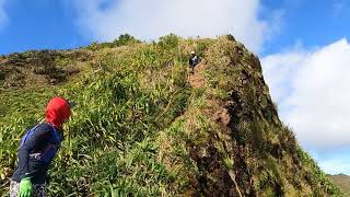 Koolau Summit Trail [upl. by Phenica]