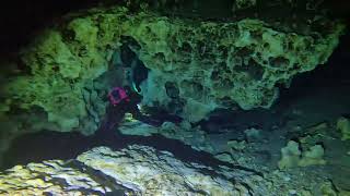 Ginnie Springs Cave Dive Devils Eye 2 23 2024 [upl. by Anirat]