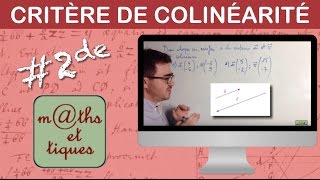 Appliquer le critère de colinéarité  Seconde [upl. by Teri]